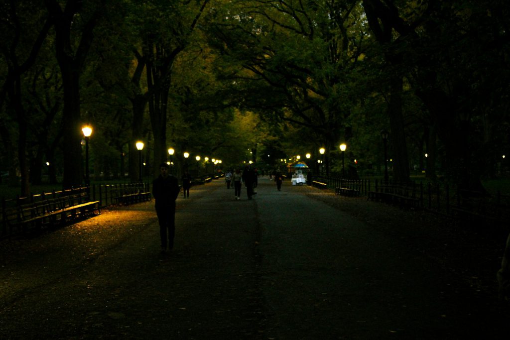 People walking on a park path at night